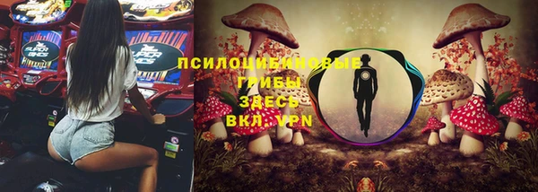 mdma Осташков